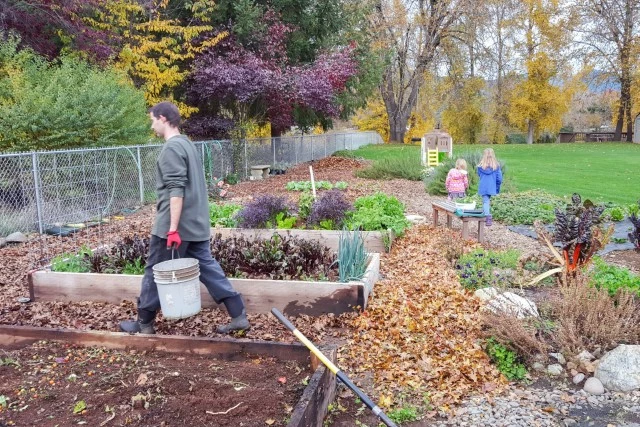 Gardening in the fall and mulching with leaves.