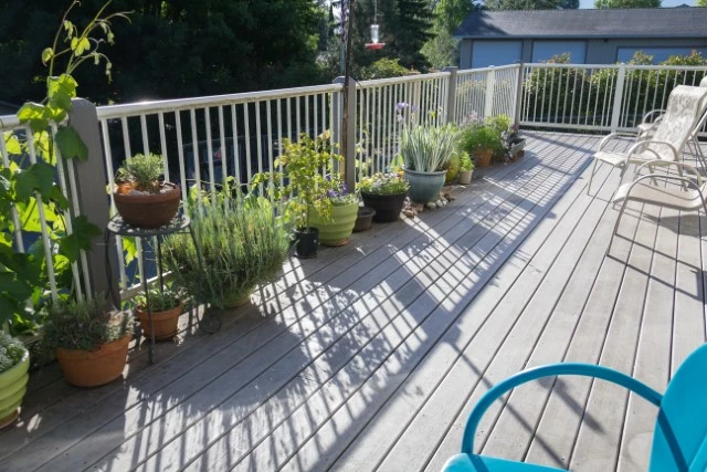 Potted plants on the deck.