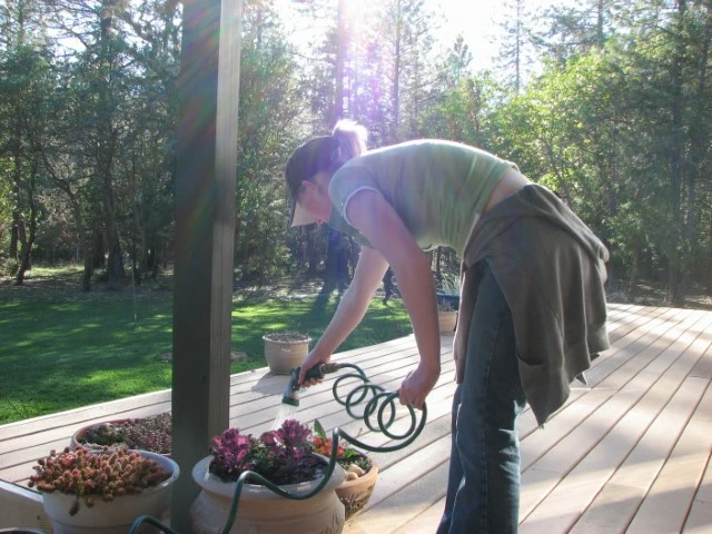 Taking care of the plants in pots on the deck.