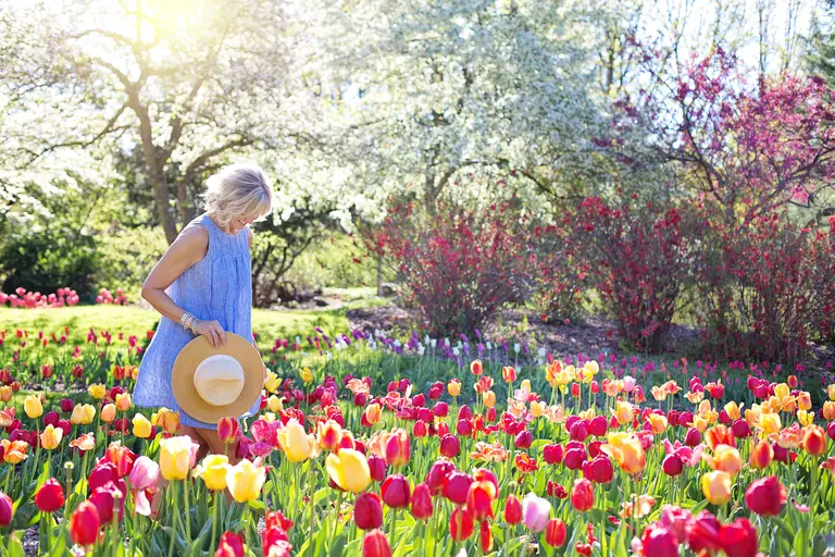 Woman with a sunhat walking in a flower garden.