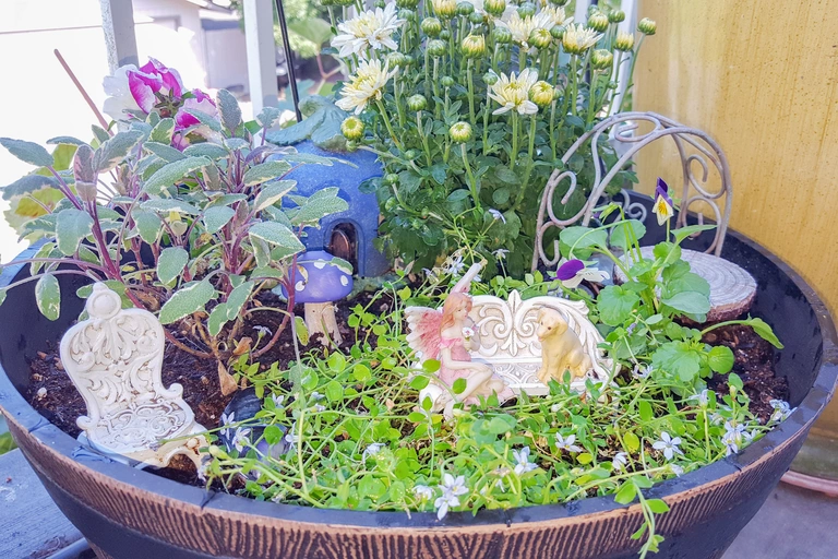Fairy garden with furniture and flowers.