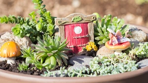 A fairy door and toadstools are the stars in this fairy garden.