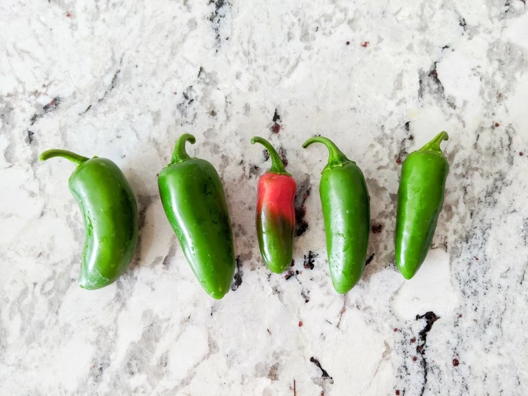 Lineup of jalapeno peppers.