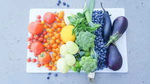 Full spectrum harvest with tomatoes, lemon, lemon cucumbers, basil, broccoli, blueberries, and eggplants.
